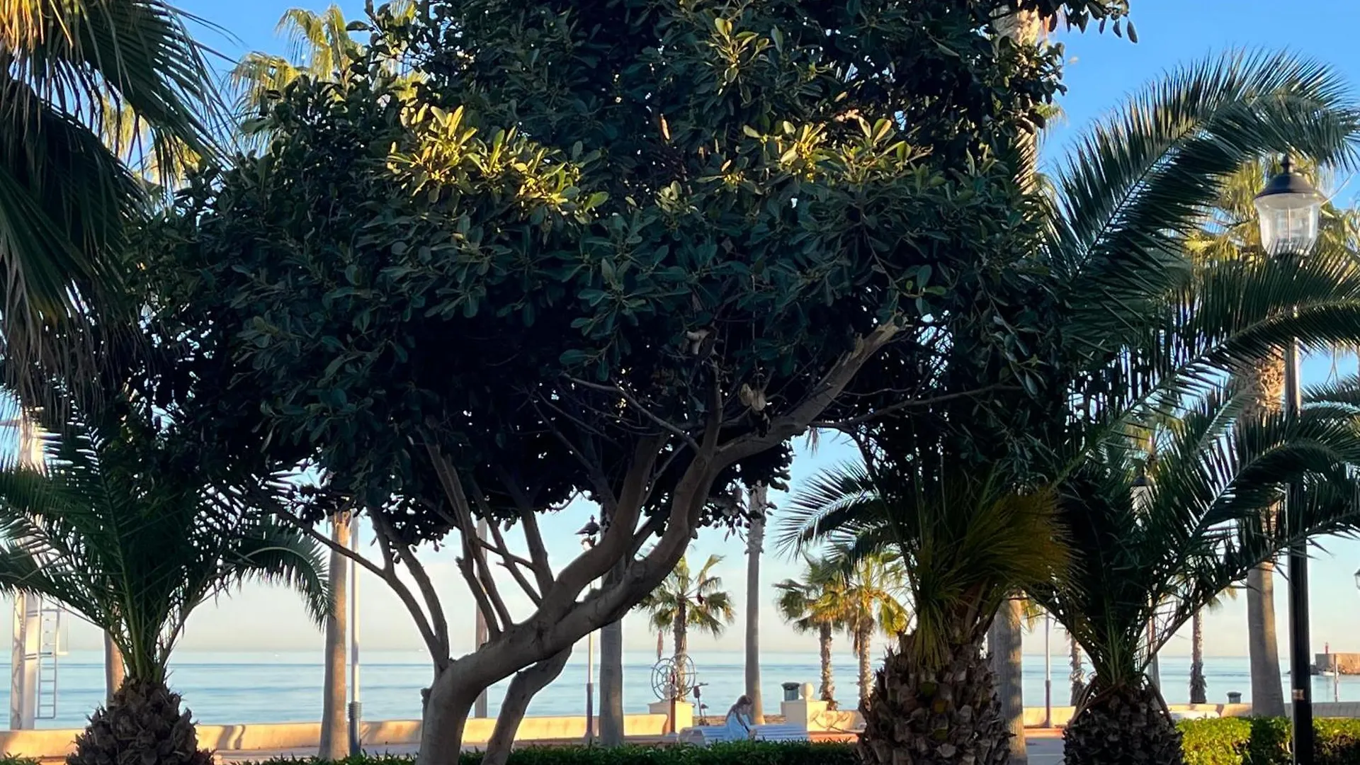 Your Perfect Vacation Apartment Roquetas de Mar