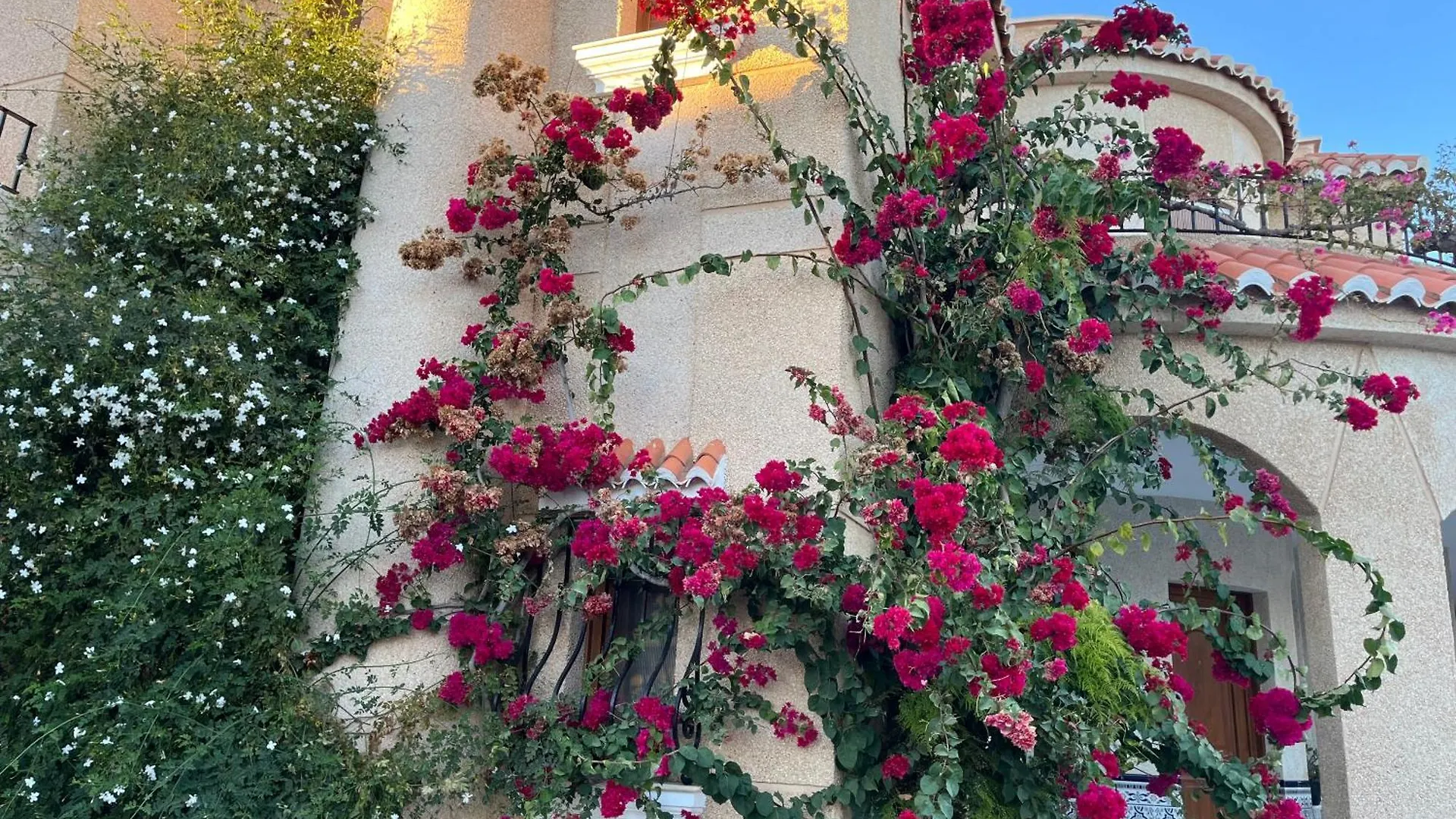 Your Perfect Vacation Apartment Roquetas de Mar